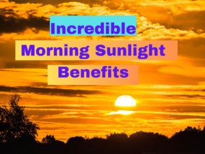 Morning Sunlight Benefits