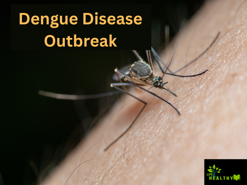 Dengue Disease Outbreak