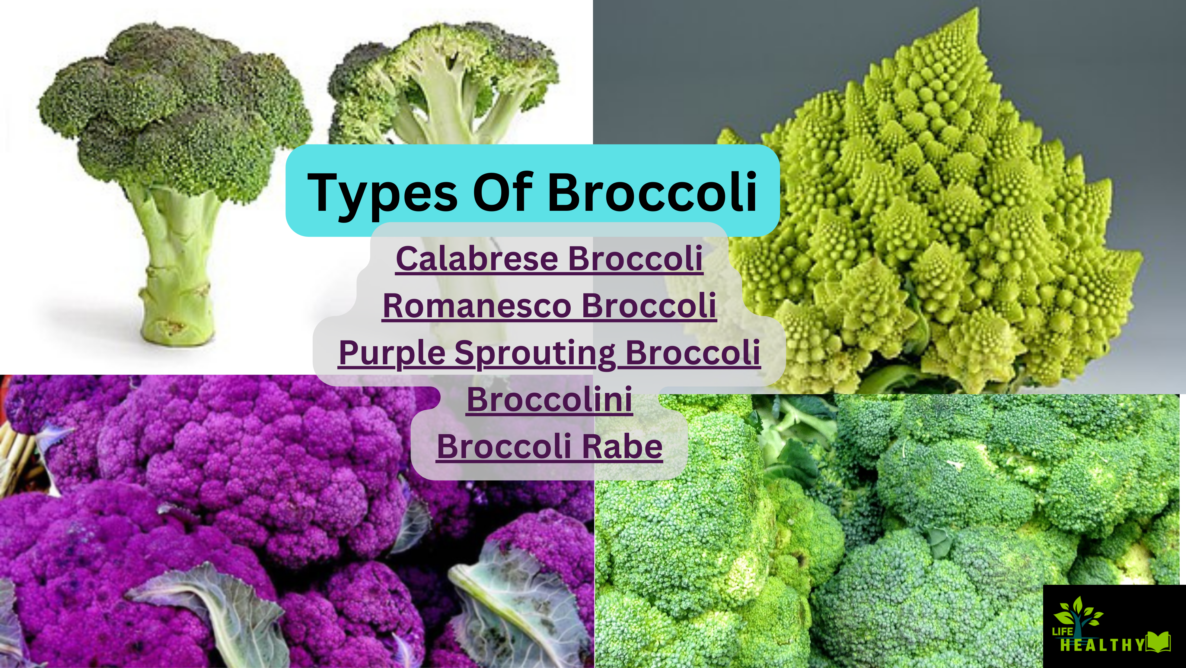 Types Of Broccoli