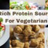 Rich Protein Source For Vegetarian In India